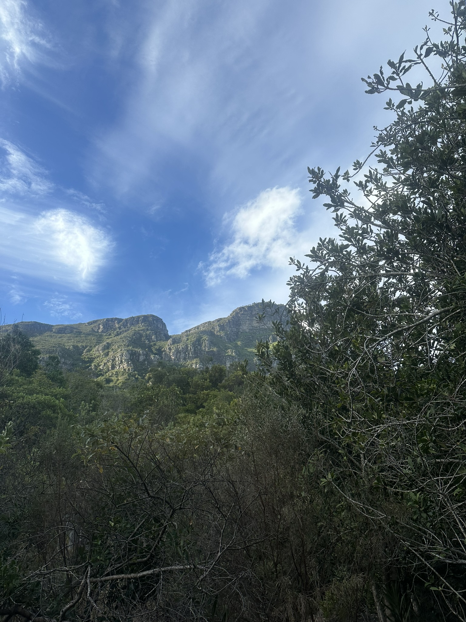 South Africa - Image 739